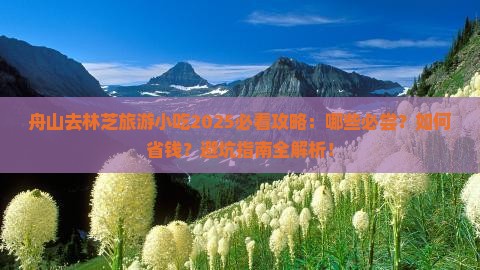 舟山去西藏林芝旅游小吃