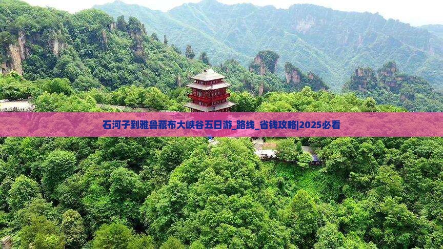 石河子到西藏雅鲁藏布大峡谷五日游