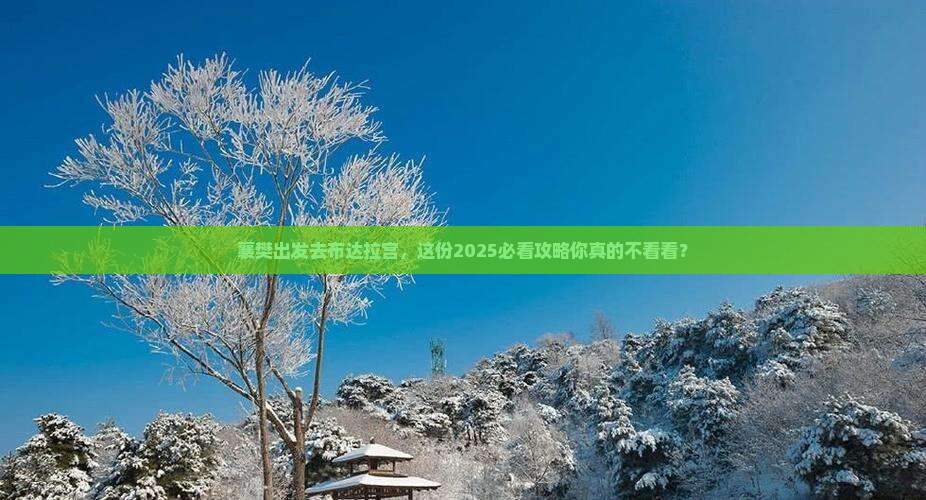 襄樊到西藏布达拉宫旅行社