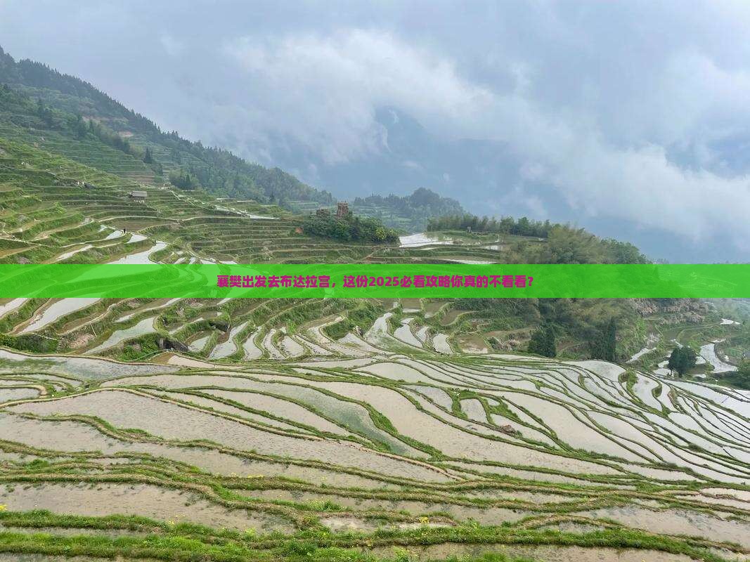 襄樊到西藏布达拉宫旅行社