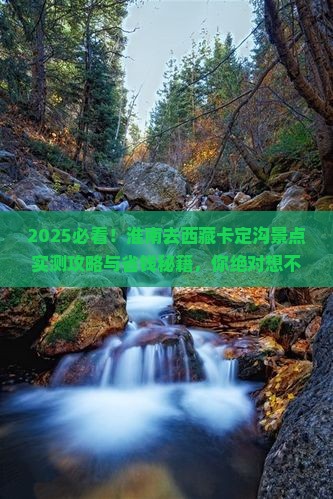 淮南去西藏卡定沟景点