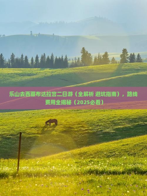 乐山去西藏布达拉宫二日游