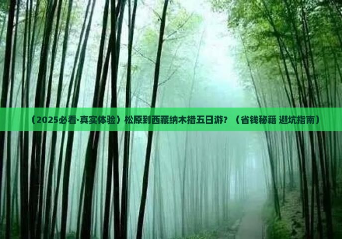松原到西藏纳木措五日游