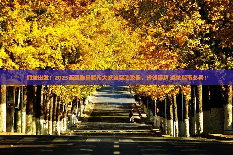 桐城到西藏雅鲁藏布大峡谷旅游