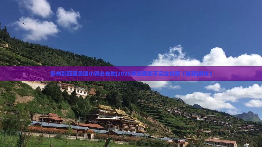 宿州到西藏鲁朗小镇必去地