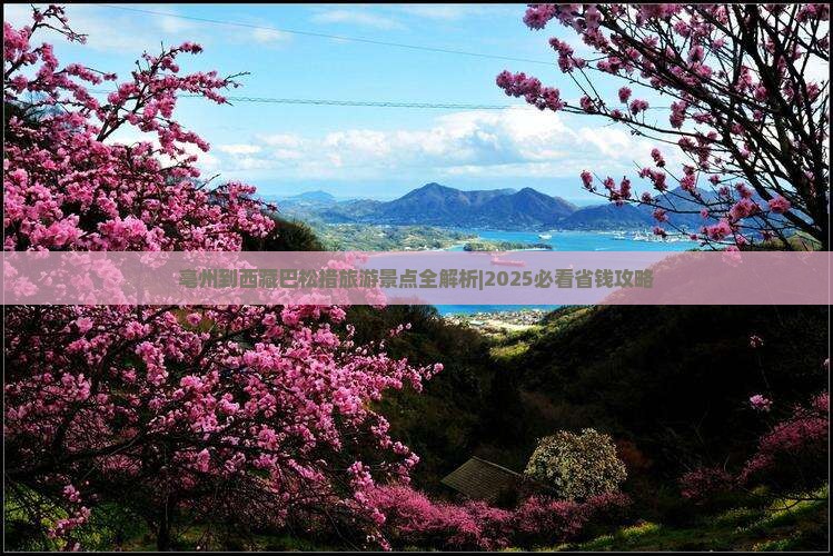 亳州去西藏巴松措旅行社