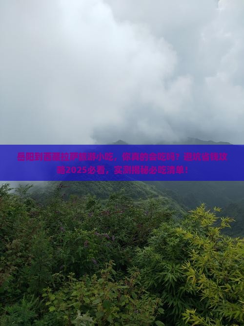 岳阳到西藏拉萨旅游小吃