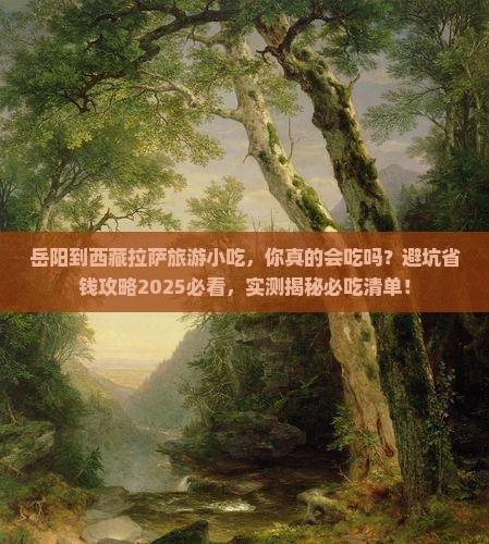 岳阳到西藏拉萨旅游小吃
