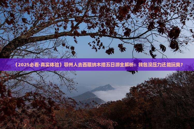 鄂州去西藏纳木措五日游