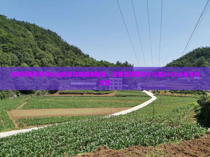 宜春到西藏色季拉山旅游