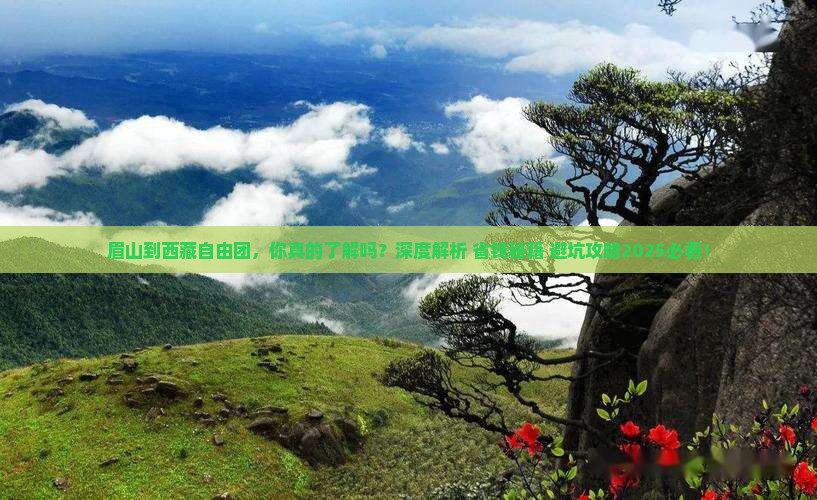 眉山到西藏自由团