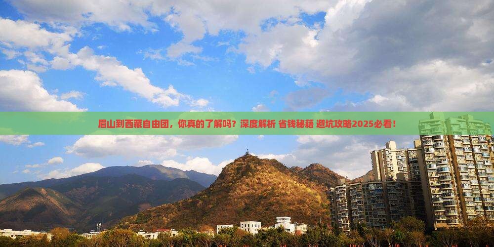 眉山到西藏自由团