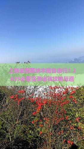 上饶去西藏纳木措自由行