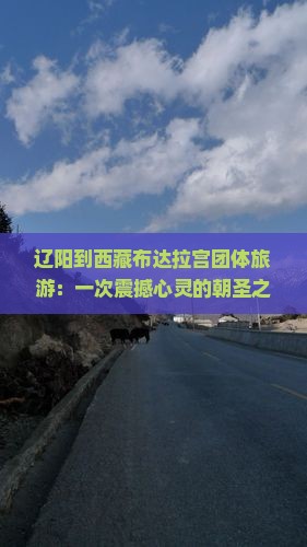 辽阳到西藏布达拉宫团体旅游