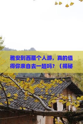 雅安到西藏个人游