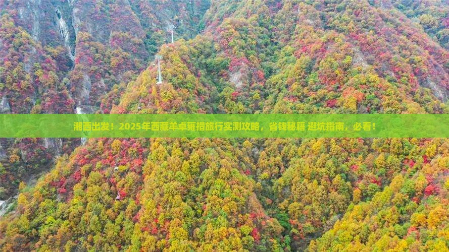 湘西到西藏羊卓雍措哪里玩