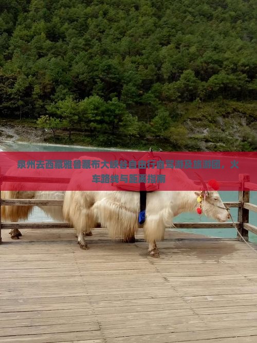 泉州去西藏雅鲁藏布大峡谷自由行