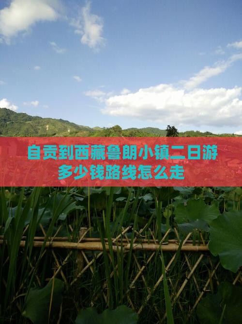 自贡到西藏鲁朗小镇二日游