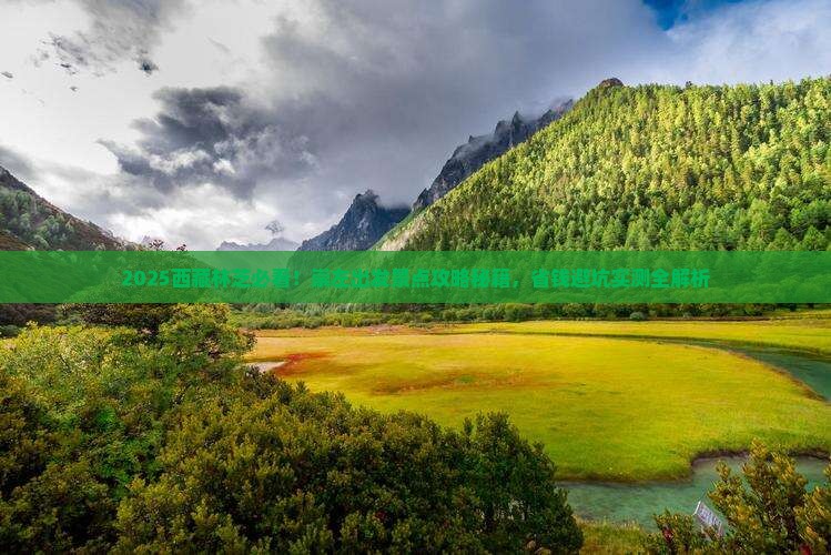 崇左去西藏林芝景点