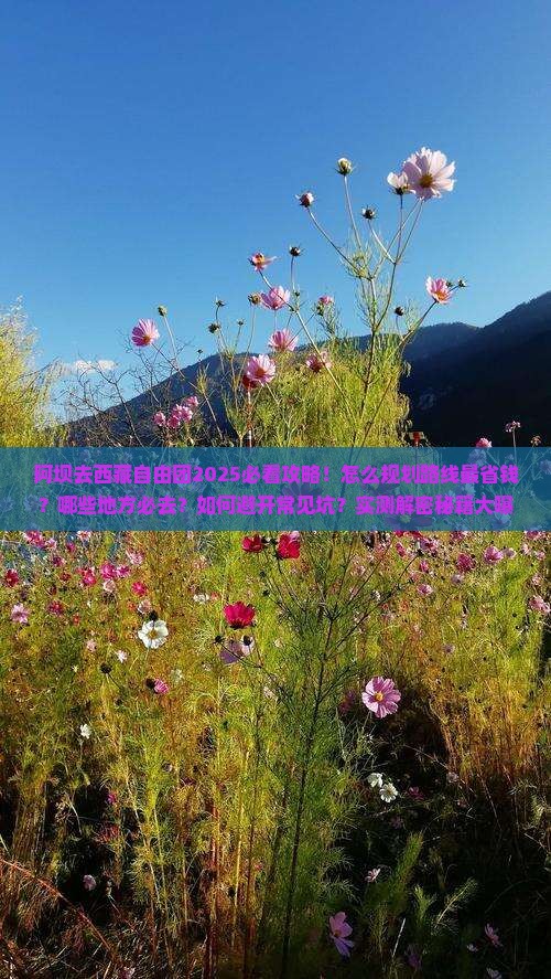 阿坝去西藏自由团 阿坝去西藏自由团