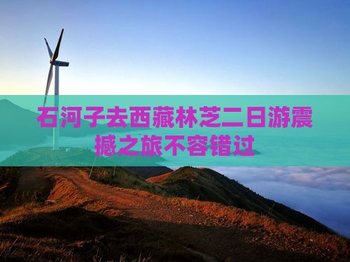 石河子去西藏林芝二日游