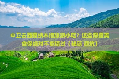 中卫去西藏纳木措旅游小吃