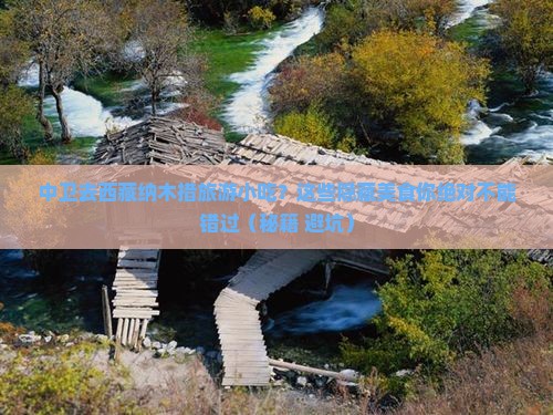 中卫去西藏纳木措旅游小吃