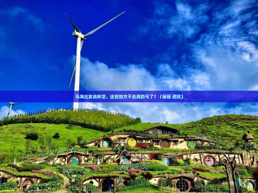 乌海去西藏林芝必去地