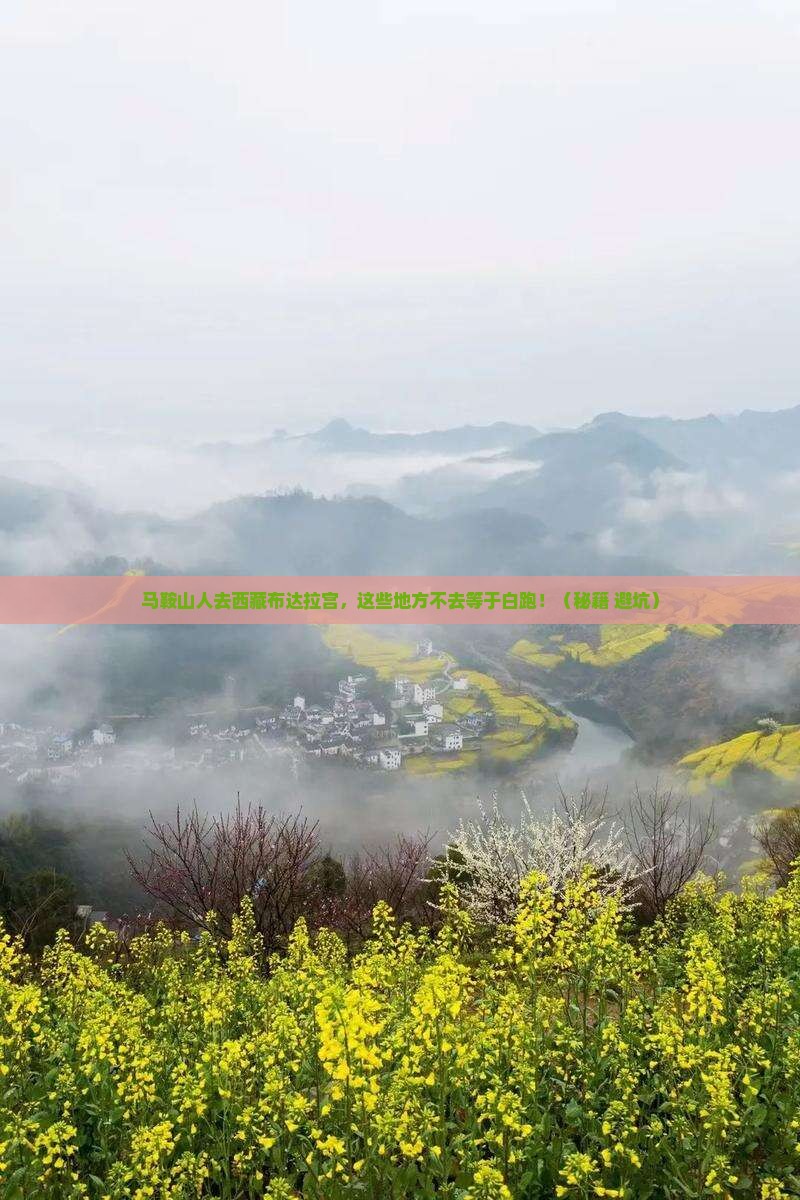 马鞍山去西藏布达拉宫必去地 马鞍山去西藏布达拉宫必去地
