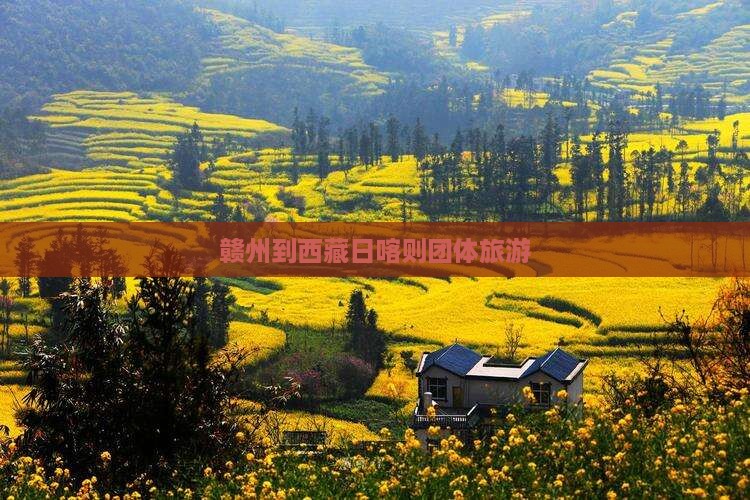 赣州到西藏日喀则团体旅游