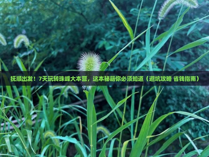 抚顺到西藏珠峰大本营七日游