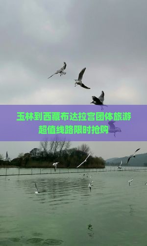 玉林到西藏布达拉宫团体旅游