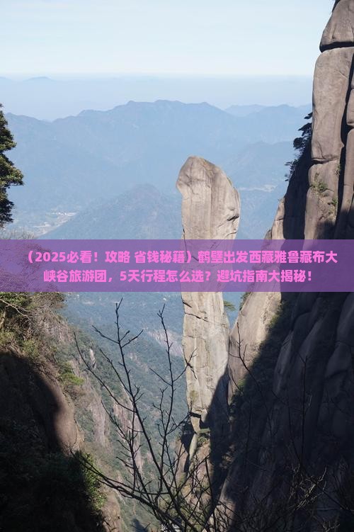 鹤壁去西藏雅鲁藏布大峡谷大型旅游团