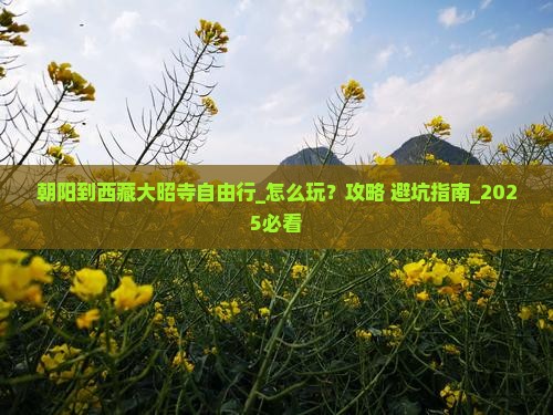朝阳到西藏大昭寺自由行