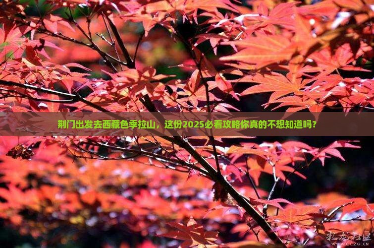 荆门到西藏色季拉山团体旅游