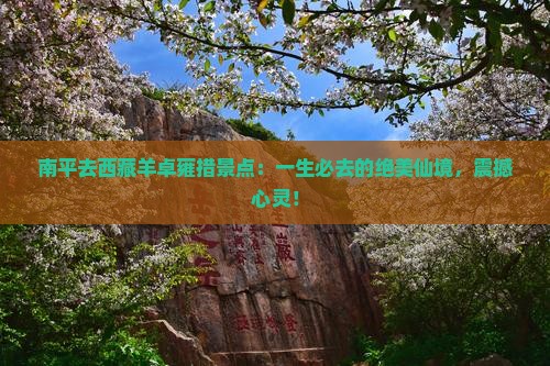 南平去西藏羊卓雍措景点