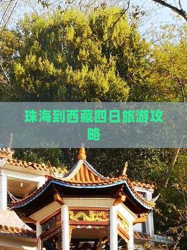 珠海到西藏四日游