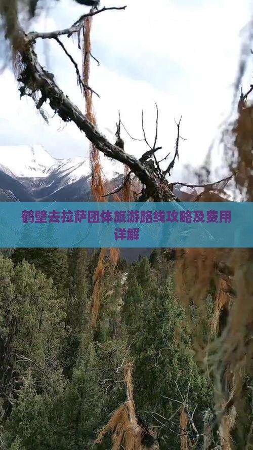 鹤壁去西藏拉萨团体旅游