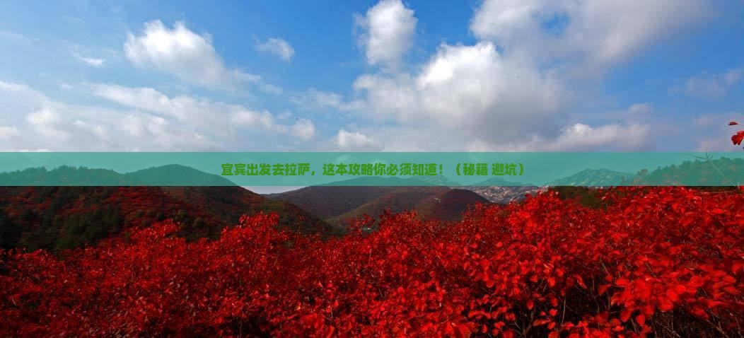 宜宾到西藏拉萨旅行社
