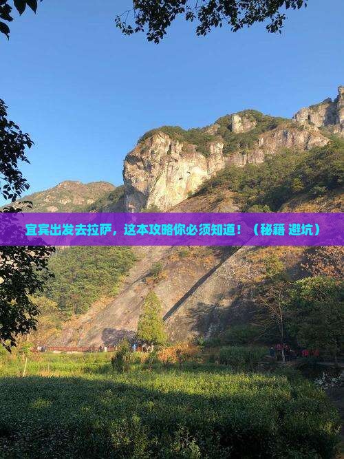 宜宾到西藏拉萨旅行社