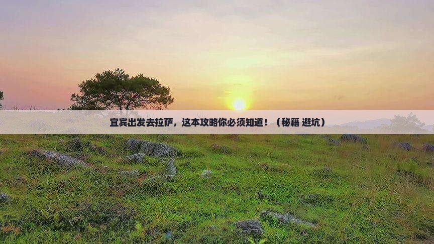 宜宾到西藏拉萨旅行社