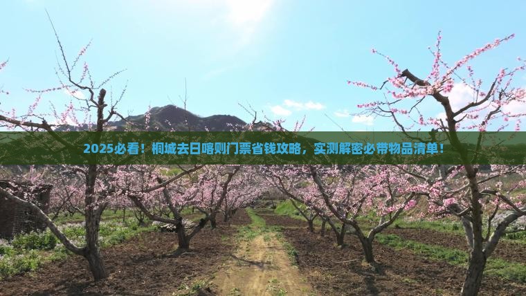 桐城去西藏日喀则门票