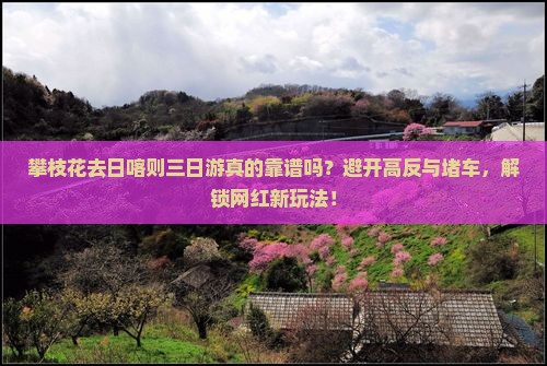 攀枝花去西藏日喀则三日游