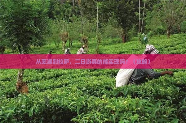 芜湖去西藏拉萨二日游