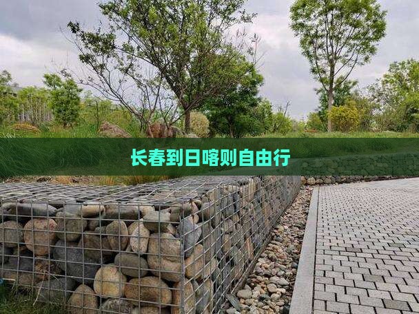 长春到西藏日喀则自由行