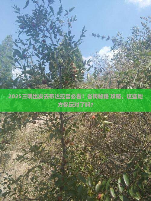 三明到西藏布达拉宫哪里玩