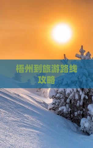 梧州到西藏个人游