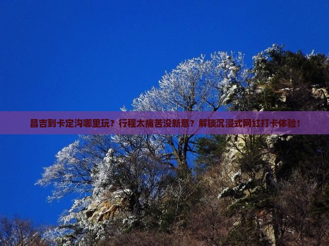 昌吉到西藏卡定沟哪里玩