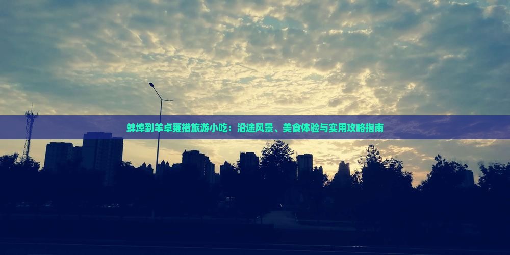 蚌埠到西藏羊卓雍措旅游小吃