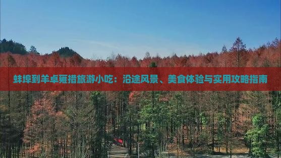 蚌埠到西藏羊卓雍措旅游小吃